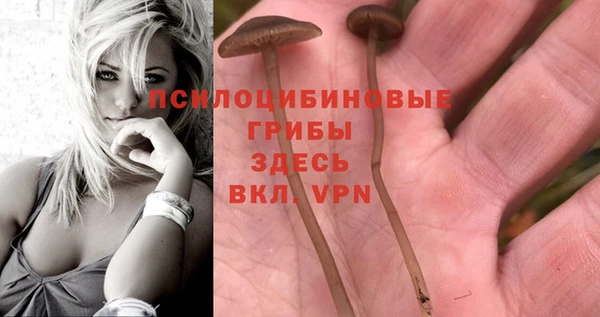 винт Зерноград