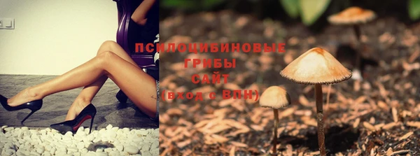 ALPHA PVP Зеленокумск
