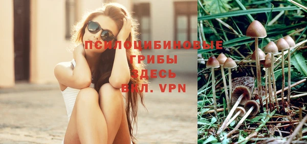 скорость Зеленодольск