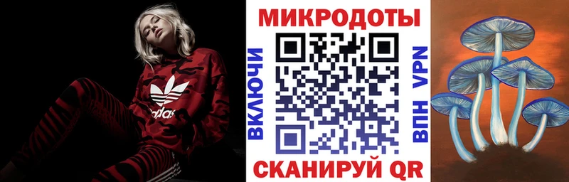 Купить где  Славск  Псилоцибиновые грибы Magic Shrooms 